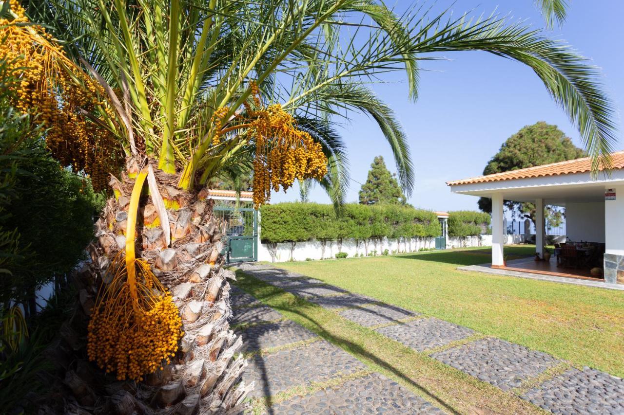Finca La Vizcondesa Icod De Los Vinos Εξωτερικό φωτογραφία